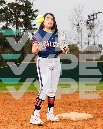 DAVIS_SOFTBALL_079-(POWELL)