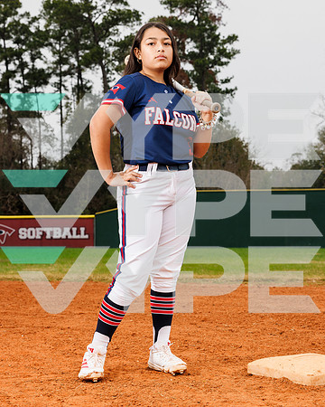 DAVIS_SOFTBALL_082-(POWELL)