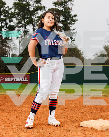 DAVIS_SOFTBALL_083-(POWELL)