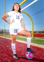 Aldine-29