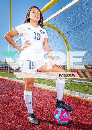 Aldine-29