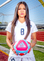 Aldine-28