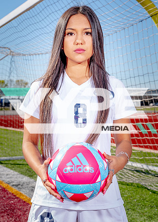 Aldine-28