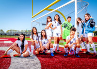 Aldine-24