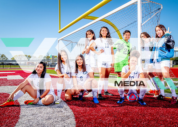 Aldine-24