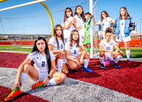 Aldine-22