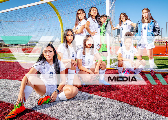 Aldine-22