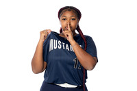LAMAR_CONSOLIDATED_SFBL_00514-(COLLIER)