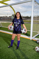 WILLIS_GSOC_Olga Barcenas-(BCC)-3