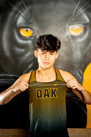 KLEIN_OAK_XC_-(HARTOJO)-17