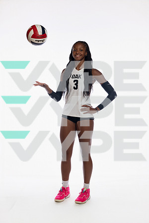 KLEIN OAK_VB-(COLLIER)-23