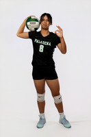 PASADENA_VB_0009_(BROWN)
