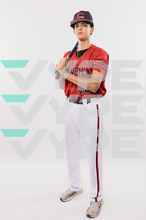 LANGHAM CREEK_BSBL-(BROWN)-294