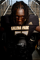 GALENA_PARK_FB_05026-(HARTOJO)