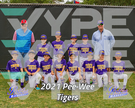 POLL Team Pee-Wee tigers 2021