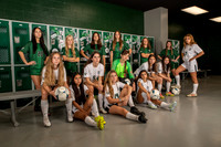 LSA_GSOC_-(WRIGHT)