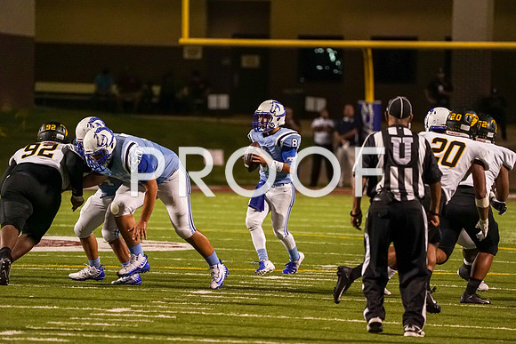 EHS_AHS-13