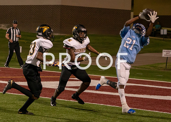 EHS_AHS-25