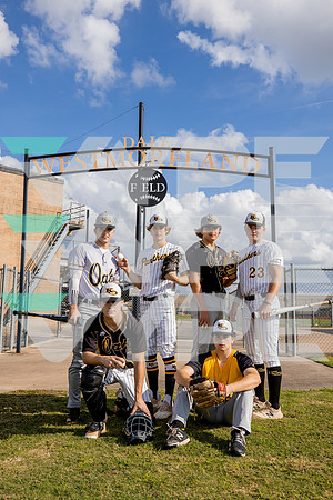 KLEIN_OAK_BSBL_160-(LILYCOX)