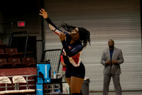 Volleyball
