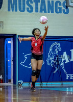 VB_MAC_AHS-13