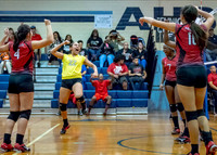 VB_MAC_AHS-9