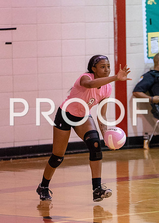 VB_MAC_EHS-2