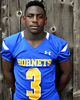 hornets2