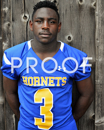 hornets2
