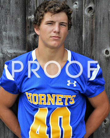 hornets1