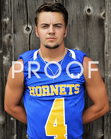 hornets3