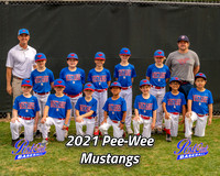 POLL Team Pee-Wee Mustangs 2021