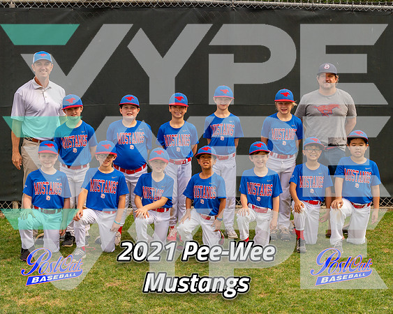 POLL Team Pee-Wee Mustangs 2021
