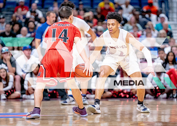 CHAMPS_timberview_wagner-11