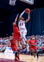 CHAMPS_timberview_wagner-19