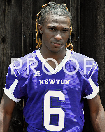 newton5