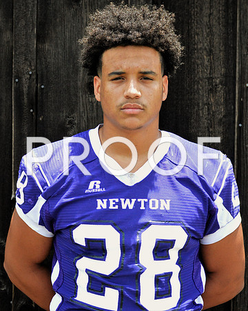 newton6