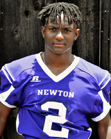 newton4