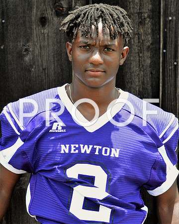 newton4