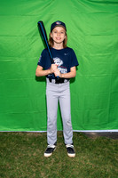 Iron Pigs