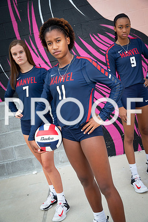 vypevballpreview2018_Manvel