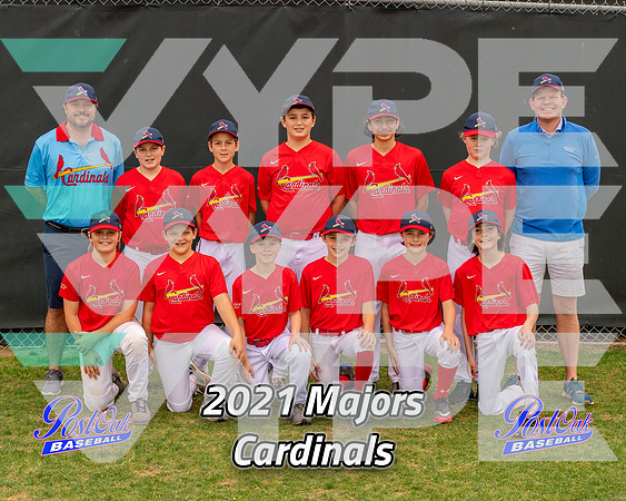 POLL Team Majors Cardinals 2021