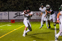 19_TWCA_LSA_FB__-(BCC)
