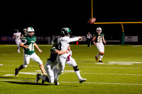 06_TWCA_LSA_FB__-(BCC)