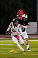04_TWCA_LSA_FB__-(BCC)