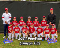 POLL Team Pee-Wee Crimson Tide 2021