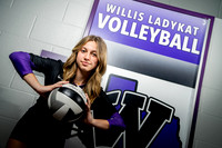 WILLIS_VB_Lakin Horne-(BCC)-3