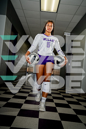WILLIS_VB_Secret Carroll-(BCC)