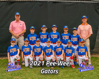 POLL Team Pee-Wee Gators 2021