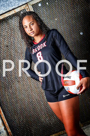 vypevolleyball2016_103
